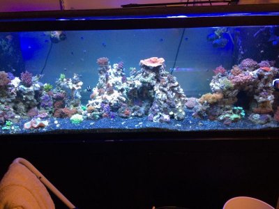 IMG_4852.jpg