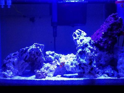 20170325_203510.jpg