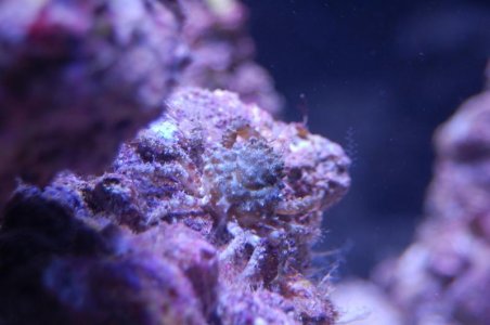 DSC_3717.jpg