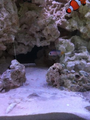 IMG_0465.jpg