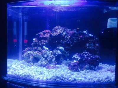 3gal1.jpg