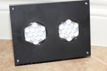 C194DD69-05E3-42A7-B436-01934E7D4FA7-1715-0000018E7F2F1A95.jpg
