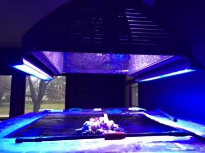 Tank (4).jpg