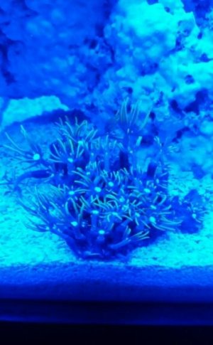 20170503_113856.jpg
