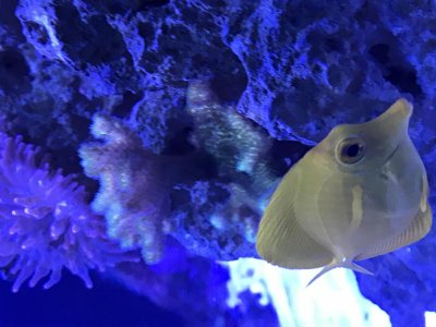 IMG_3876.jpg