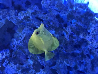 IMG_3882.jpg