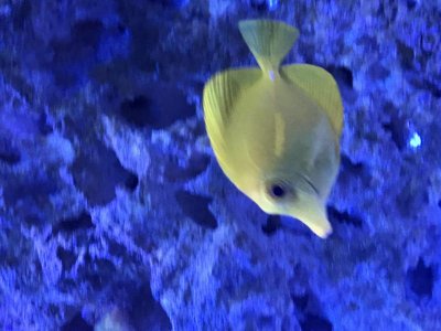 IMG_3884.jpg