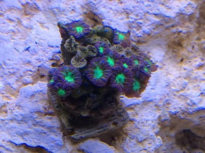 IMG_0035.jpg