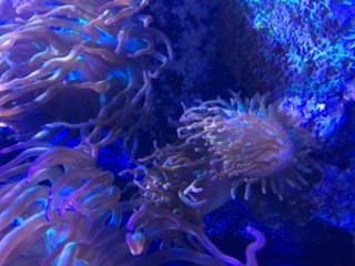 IMG_2348.JPG