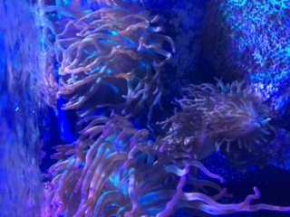 IMG_2349.JPG