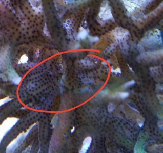 20170329_170922.jpg