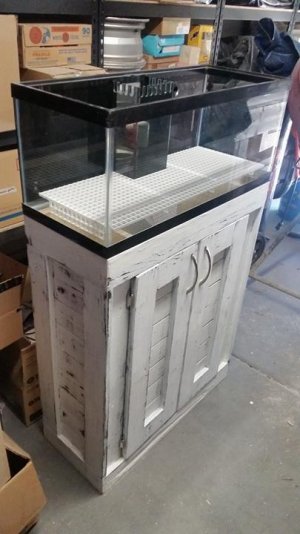 17690173_10211450201958385_1973376978_n.jpg