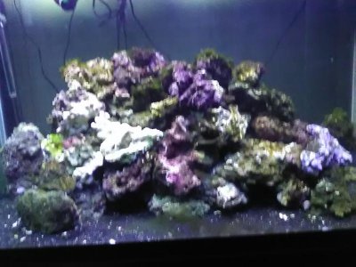 IMG_20170327_070824.jpg