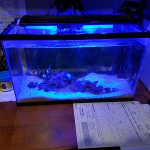 20170504_081830.jpg