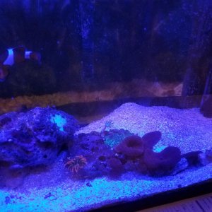 20170504_081841.jpg