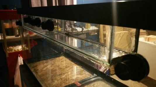 20170329_223359.jpg
