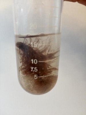 FullSizeRender (2).jpg