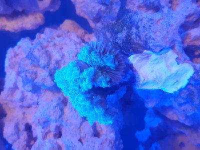 20170330_201025.jpg