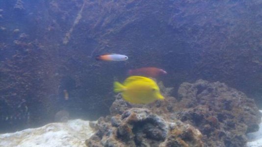 20170505_202319.jpg