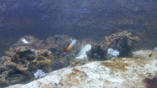 20170505_202239.jpg