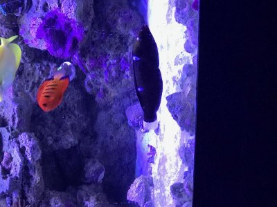 IMG_2399.jpg