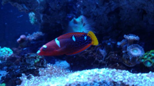IMG_20170331_153511206.jpg