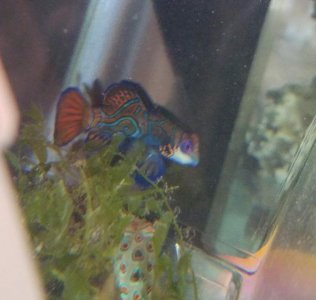 20170509_035554.jpg