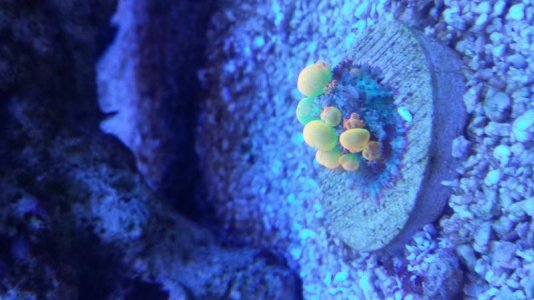 20161113_171205.jpg