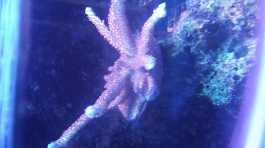 20170317_194334.jpg