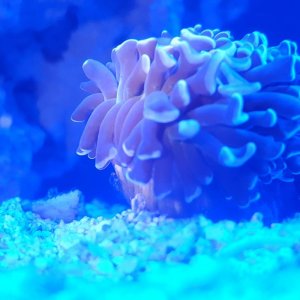 20170509_202606.jpg