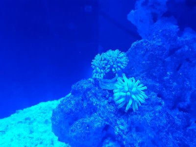 20170509_203527.jpg