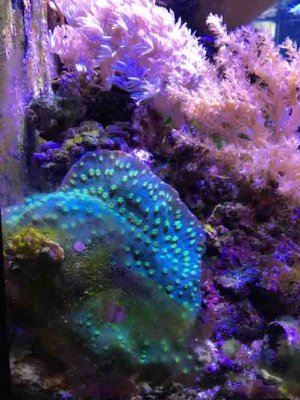 IMG_3325.JPG