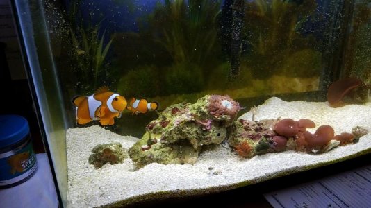 20170510_082421.jpg