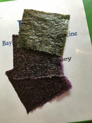 Nori1.jpg