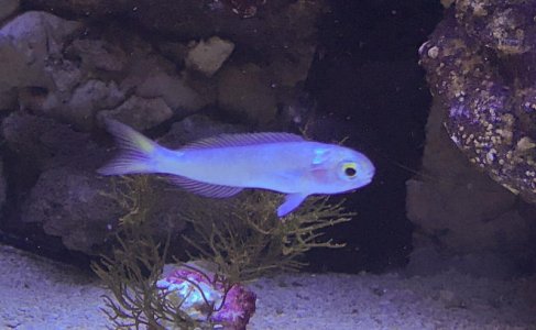 IMG_0889.jpg
