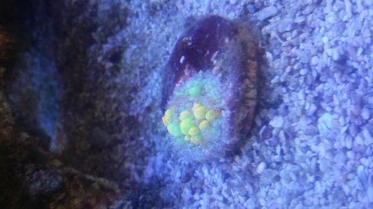 20170402_114023.jpg