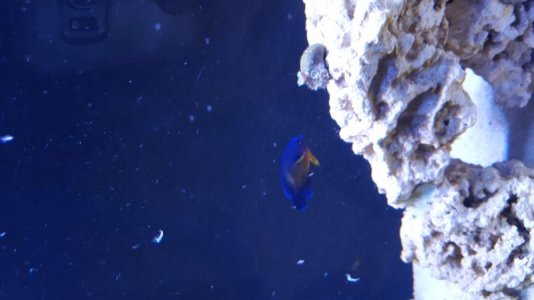 20170401_190134.jpg