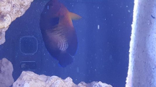 20170402_203220.jpg