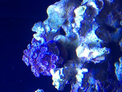 IMG_1294.jpg
