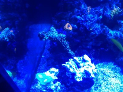 IMG_0438.jpg