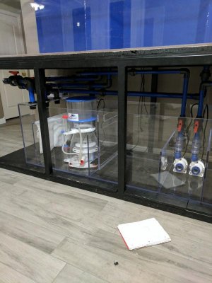 pic5.jpg