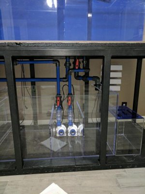 pic3.jpg
