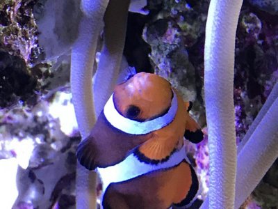 IMG_8468.jpg