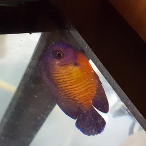 20170515_195253.jpg