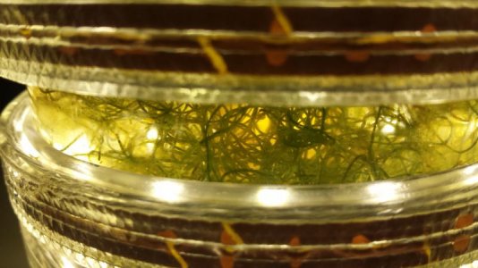 20170515_212302.jpg