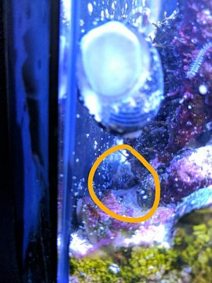 rps20170515_222021.jpg