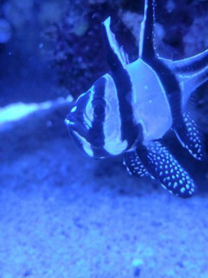 rps20170515_222130.jpg