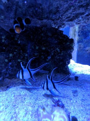 rps20170515_222247.jpg
