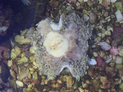 image1.jpg