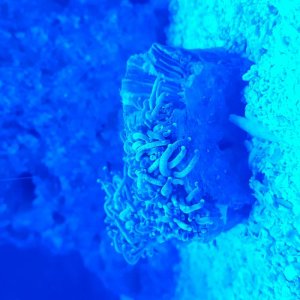 20170516_114622.jpg